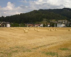 Strohbergung